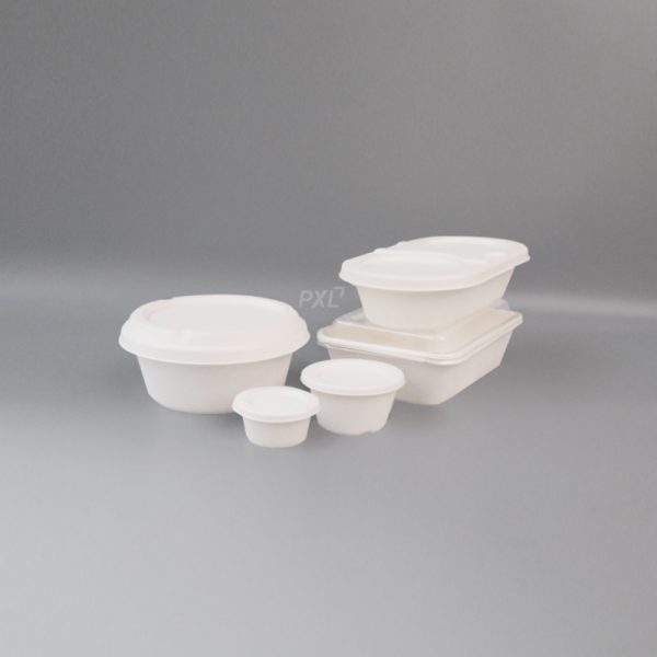 Sugarcane food containers in different sizes